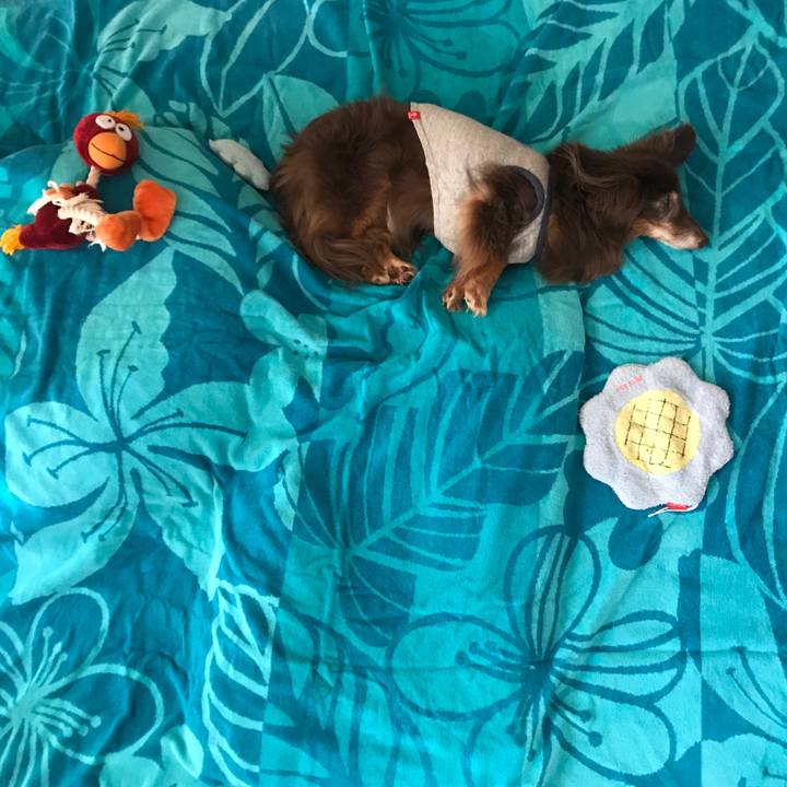 A0ab1415 d484 418f a006 b0a5f9beaa8d 1564538209438