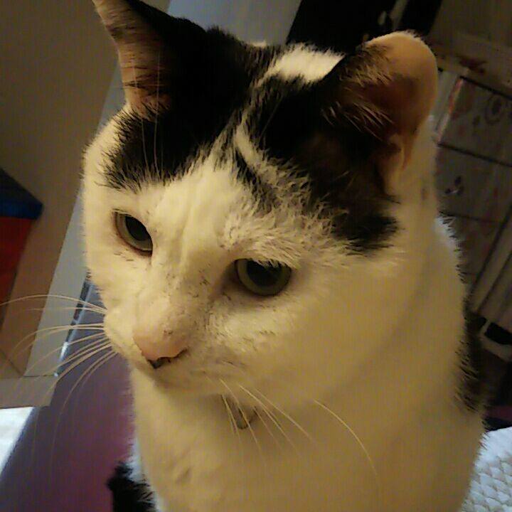 A0ab33d3 ee52 4c33 98d8 1099bf6826a3 1552180412711