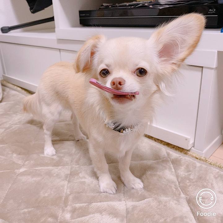 A0abd728 239f 472b 9116 00a4a6bef574 1605602880205