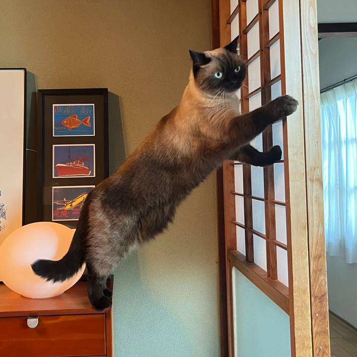 A0abf405 78a0 445e a317 66f91952235b 1664190750089