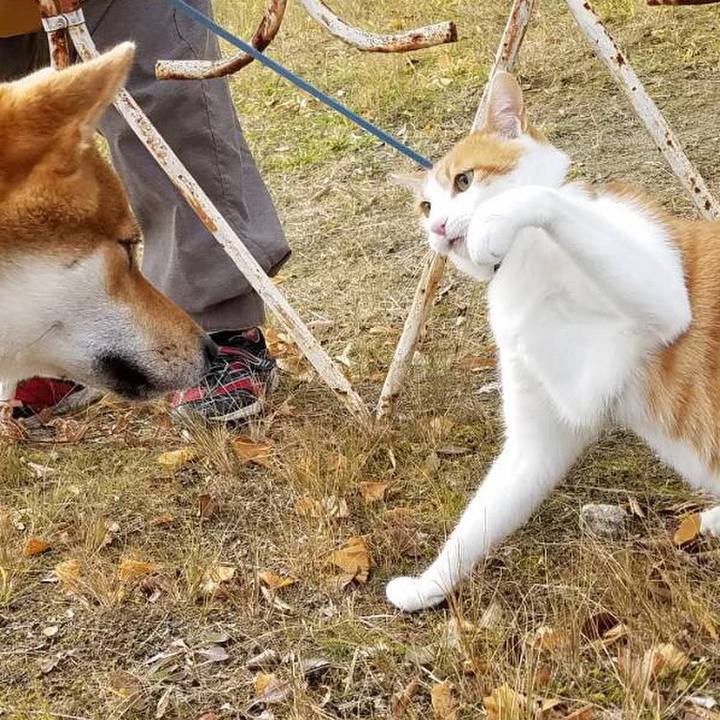 A0ac14a7 6a5a 49b5 a281 67aca73b70f4 1512879313740