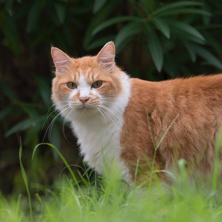 A0ac27f0 dc67 4c7e 9207 da549825c946 1537016108527