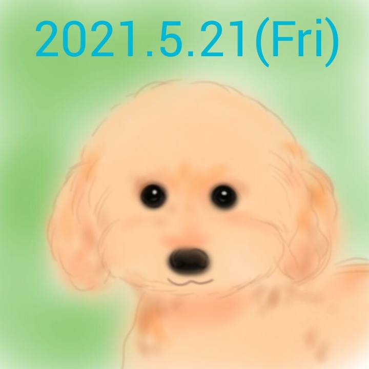 A0ac4d2a 81df 4dfa ba25 6105115dcec3 1621600816022
