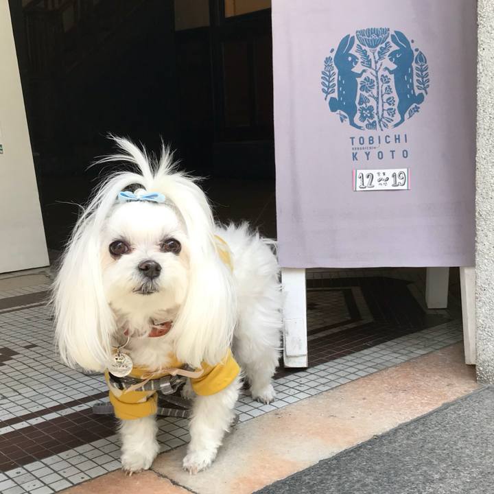 A0ac8246 7984 4154 ac23 2f3270ecf615 1766239238058