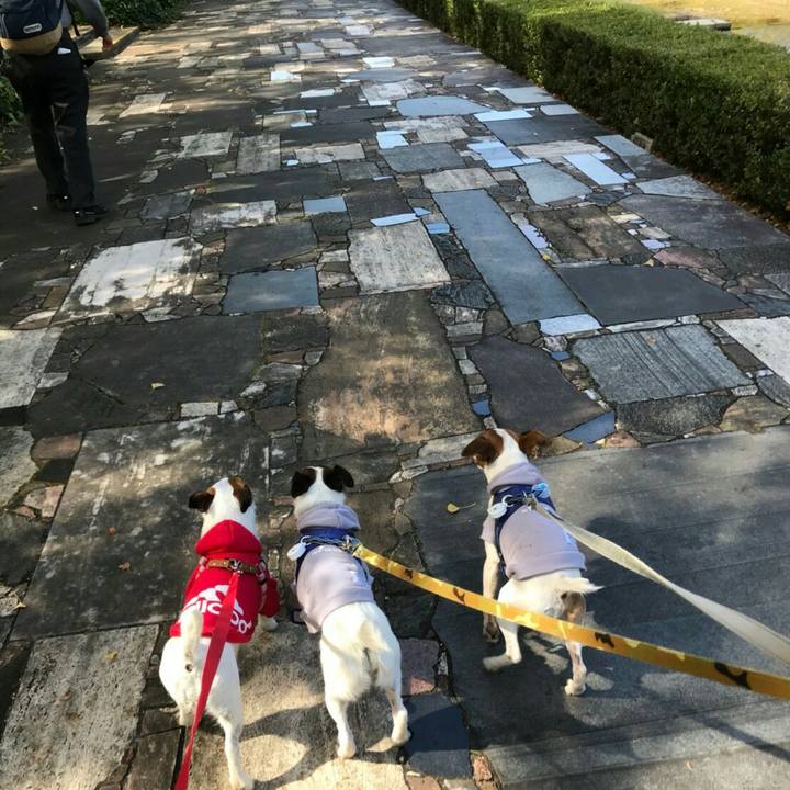 A0ac9994 ec33 491f b091 2b48e4627e07 1540973459765