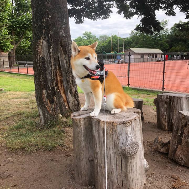 A0ac9df1 e40f 4f64 8bbe 0df5e6336f3f 1595895705605