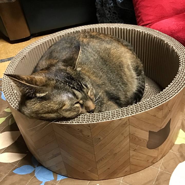 A0acc185 f2e8 4db2 8362 64adba25e704 1697012828488