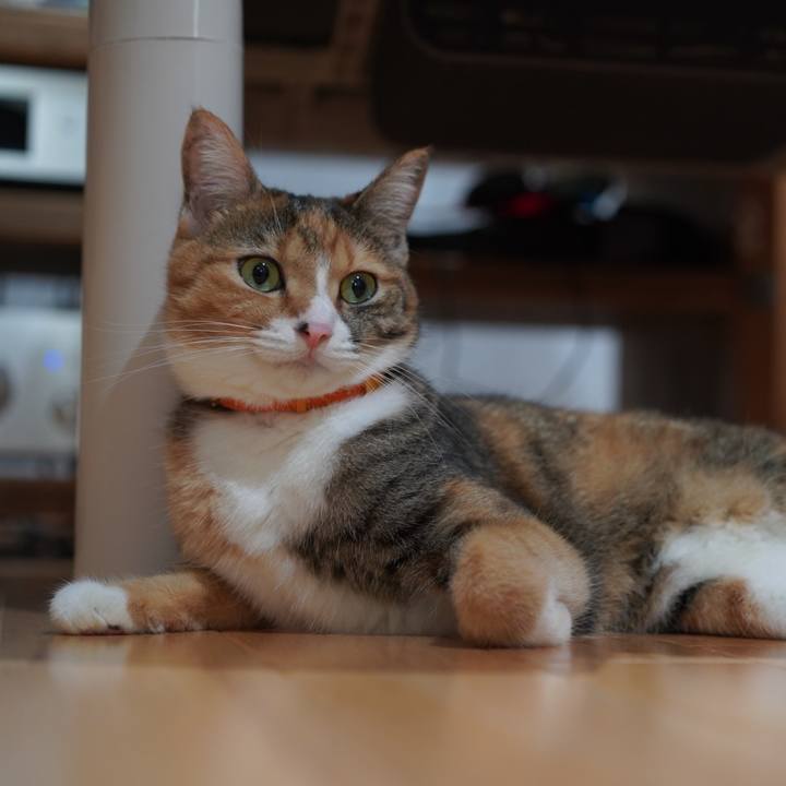 A0ace61e 9318 46df b6d6 072bf740ab4c 1631283999706