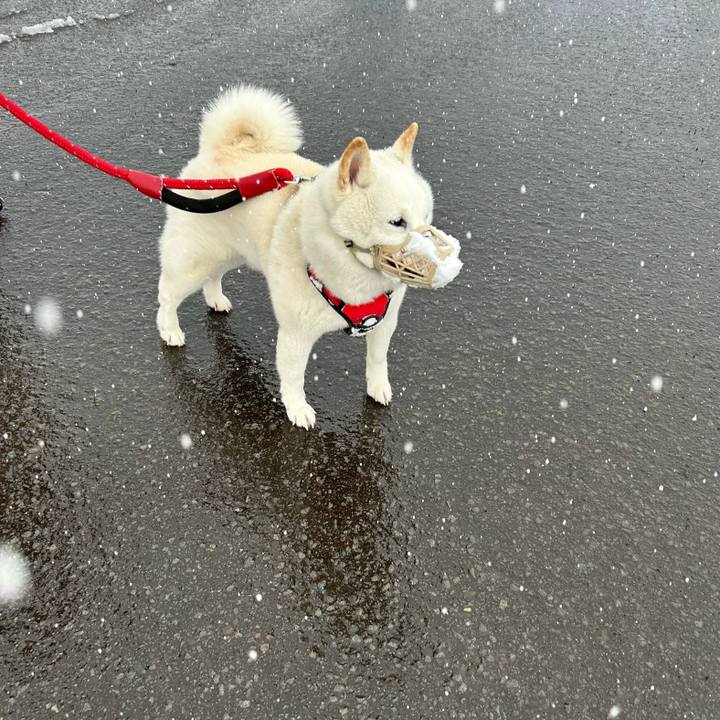 A0acfd2c f917 415c 86f2 53b922de916c 1710542257589