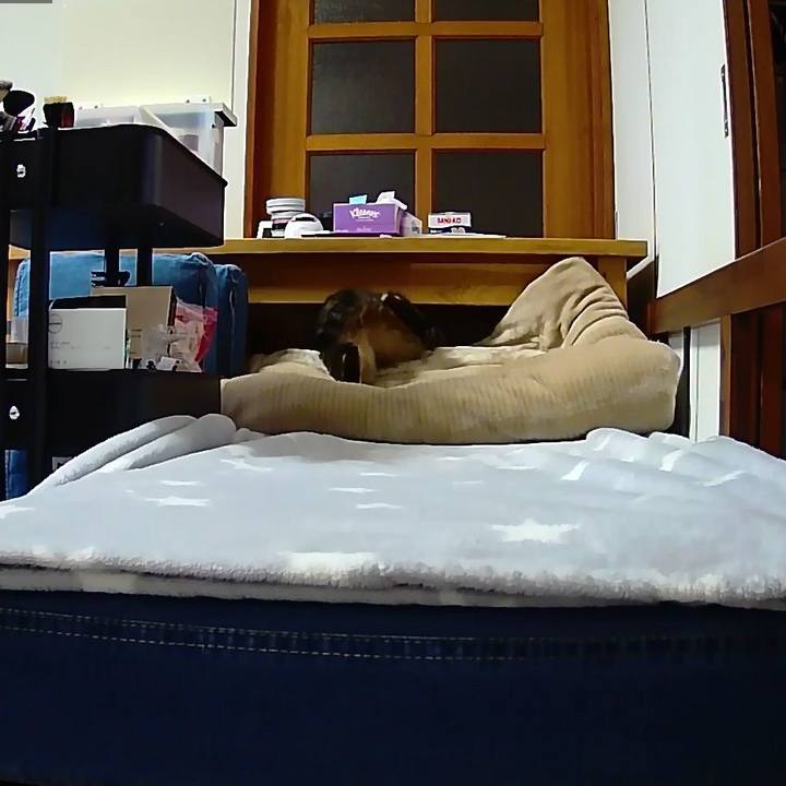 A0ad171b 51bf 4759 b0c8 5f394dce3c5e 1543483819957