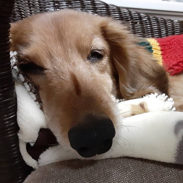 A0ad2df6 3dc9 41f8 9e64 b4b6174726b2 1614171528600