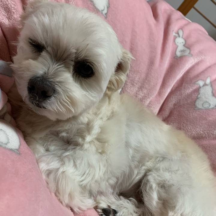 A0ad432d 461a 40d3 a14f 2f1f4c3575d2 1611486519762