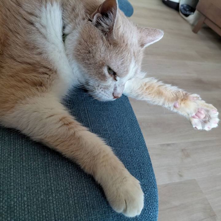 A0ad5475 2ae0 484a 8915 7bef83f7e9da 1692483573432