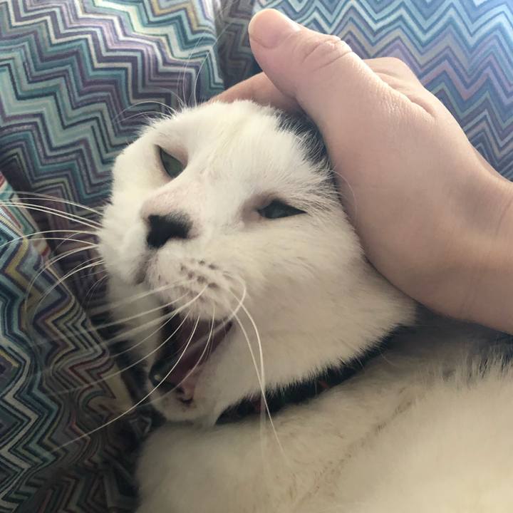 A0ad81d3 152b 4583 95b5 3e1758167c83 1548462538240