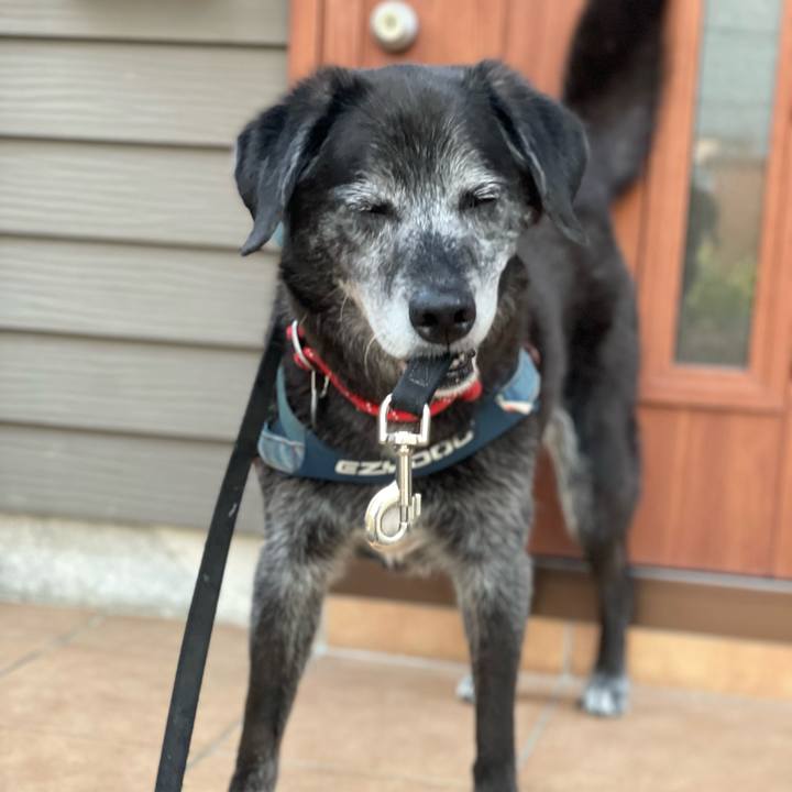 A0ad82b2 b458 4c78 9ee8 95b3a61b94b6 1758613991401