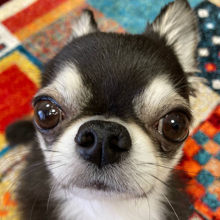 A0ad9c43 28cf 4338 9f31 f357df76644d 1682722562257