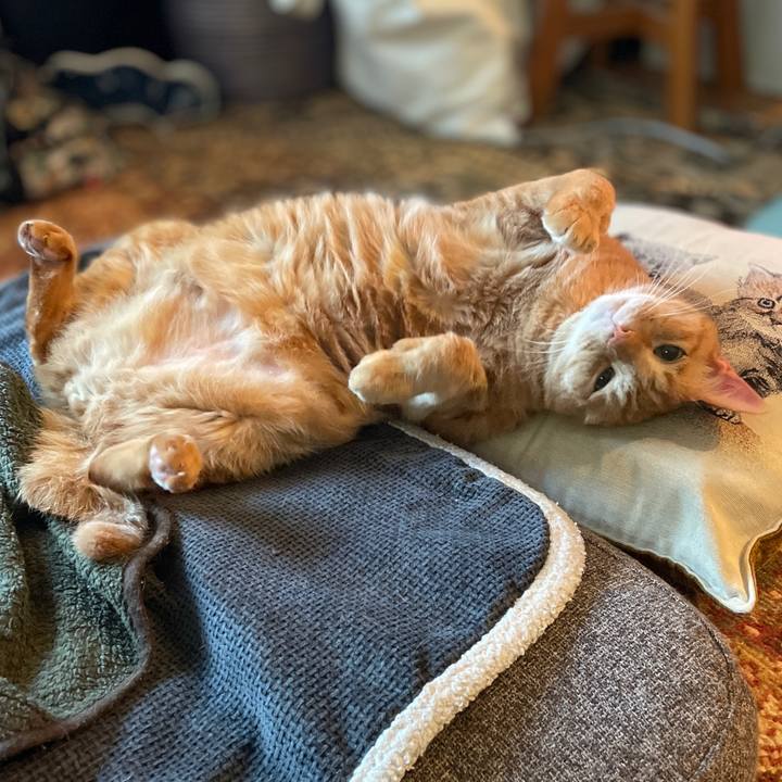 A0adcd85 267e 4504 a4c5 2bc01c4958fd 1765286309962