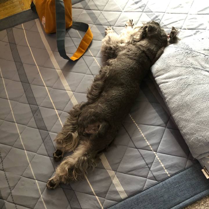 A0ae3646 f5cd 4ded 90f0 1160b95d9c73 1694094776544