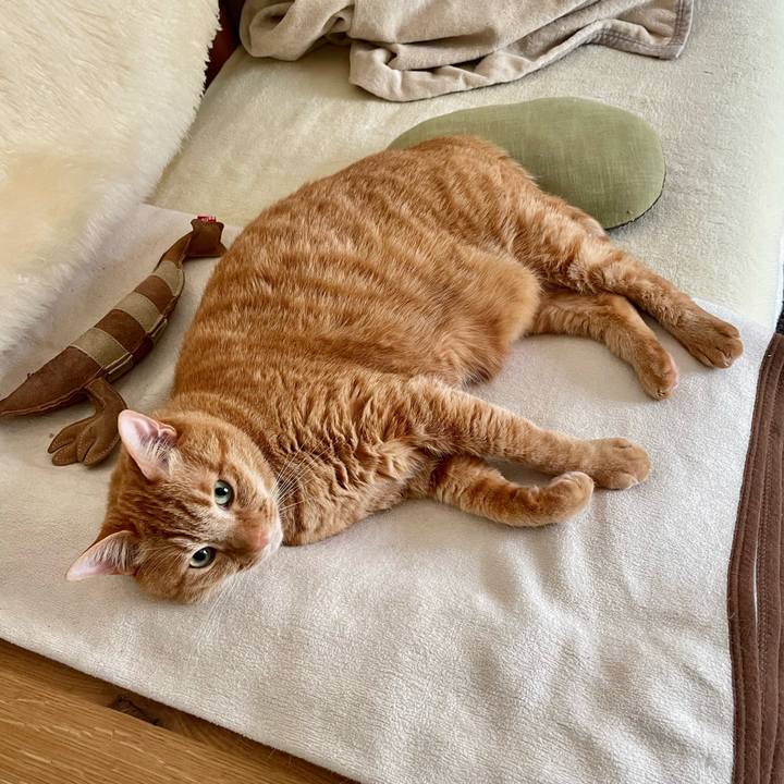 A0ae7a7a 106f 4c85 8931 9c5939250973 1649680644551