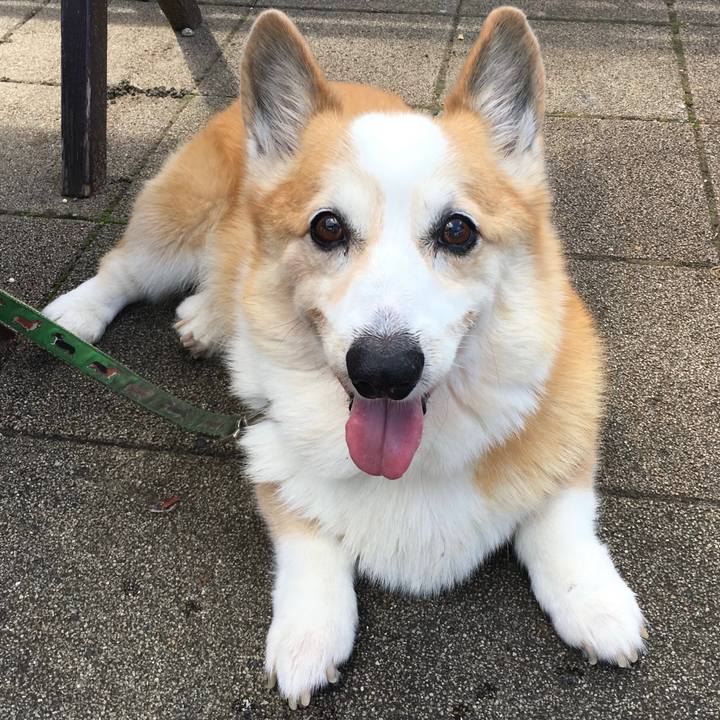 A0ae8c50 f033 4e8a ba48 9b3cd5adabb5 1691898102866