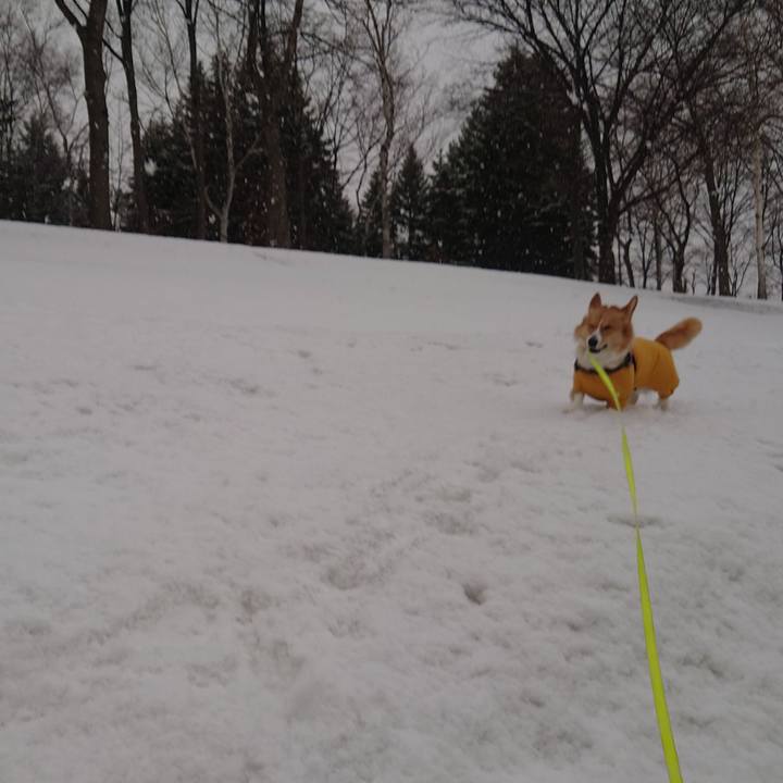 A0aec061 bb04 4412 899c a18cad00329e 1772581675457