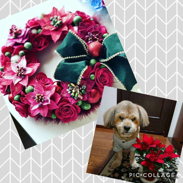 A0aed4e9 ec73 4c15 9de9 e0551a0293da 1607420074079