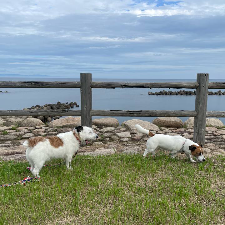 A0aef5dc 8986 405f bb21 ab059bdad8f6 1721083974325