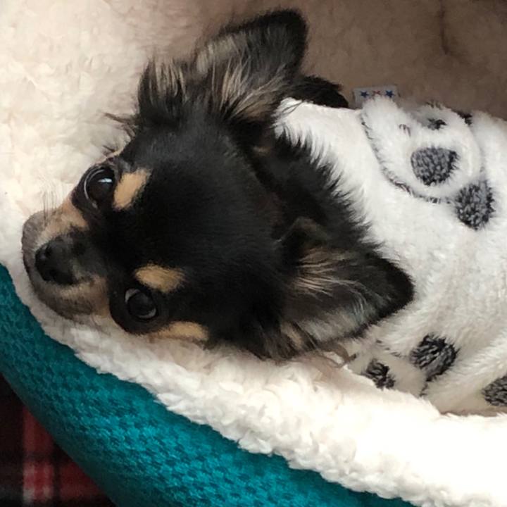 A0af0391 aff6 4ac0 9146 9749d040efc2 1543447319650