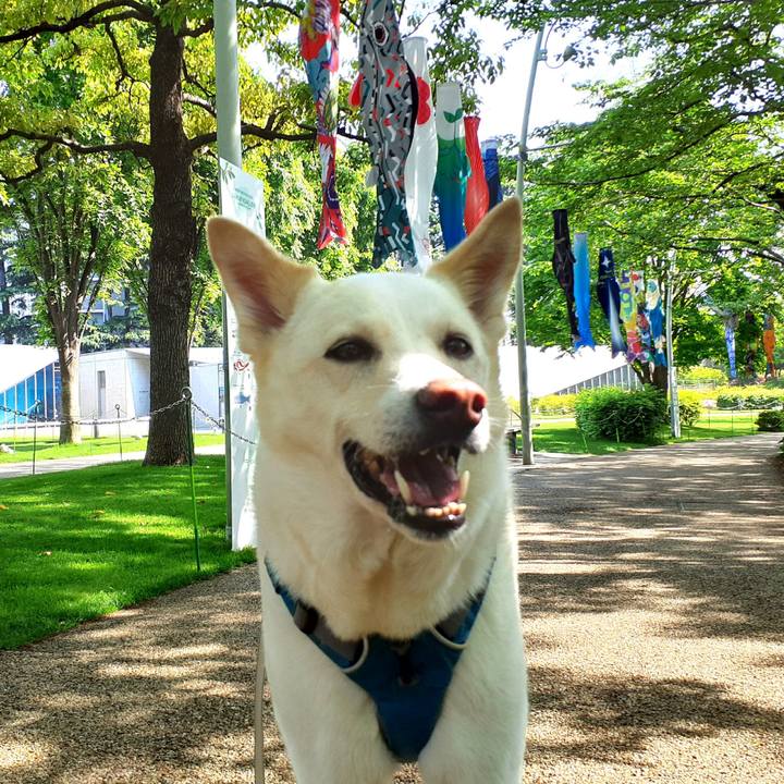 A0af0e08 708e 4b63 8036 04ac91eedf57 1651720880612