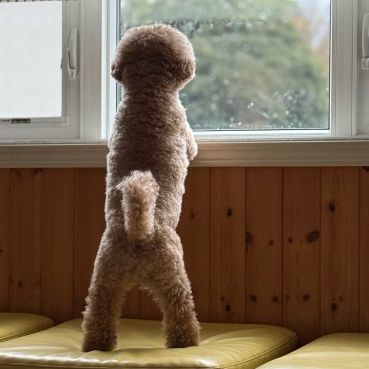 A0af1381 b080 4884 9876 095a94e56333 1775732820484