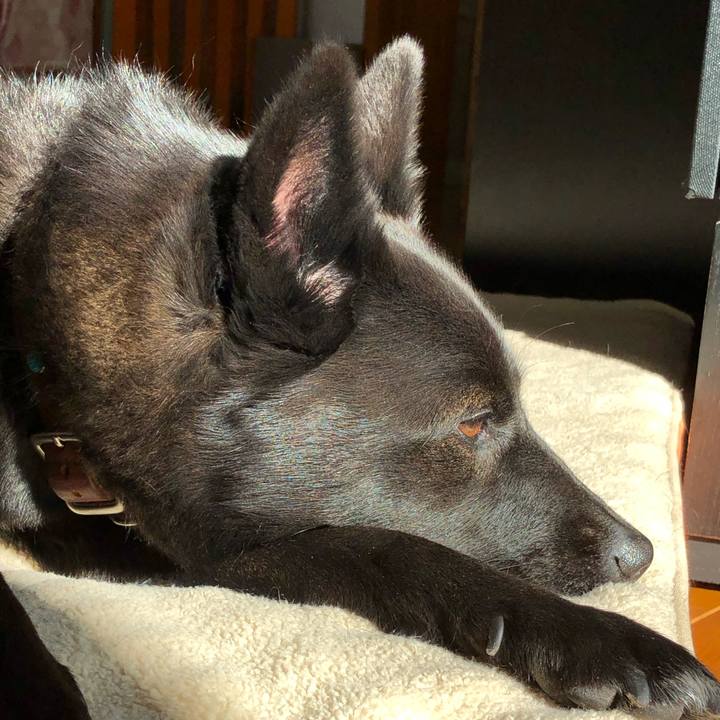 A0af4e25 300e 494f 900a 52836d162bf6 1579478989768