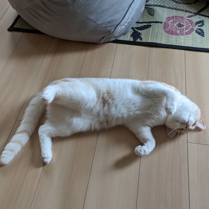 A0af83d2 b793 450b 8b34 141de6341230 1688342414273