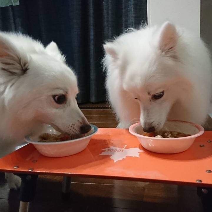 A0afa8d9 d34f 491c a7cf 95391dc8157b 1593343762995