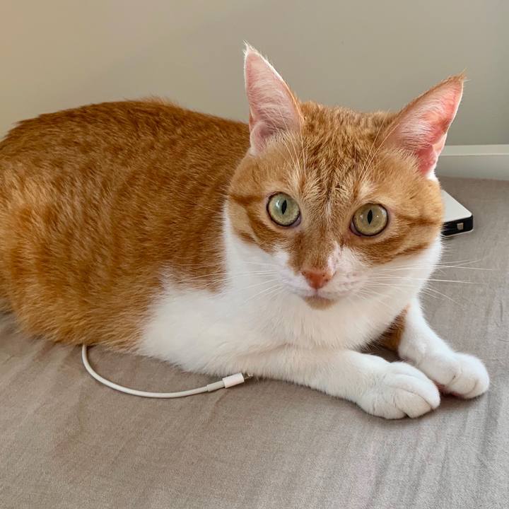 A0afb17e 8a89 4d47 8157 b844f8985b94 1567304740106