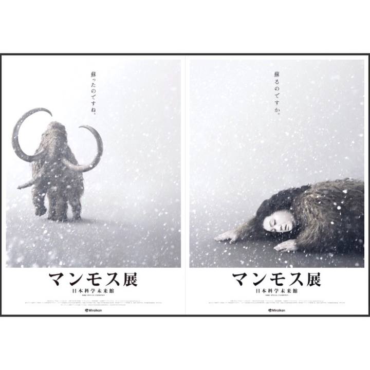 A0afcb37 eee4 4423 8c7a 76368053f429 1553916694568