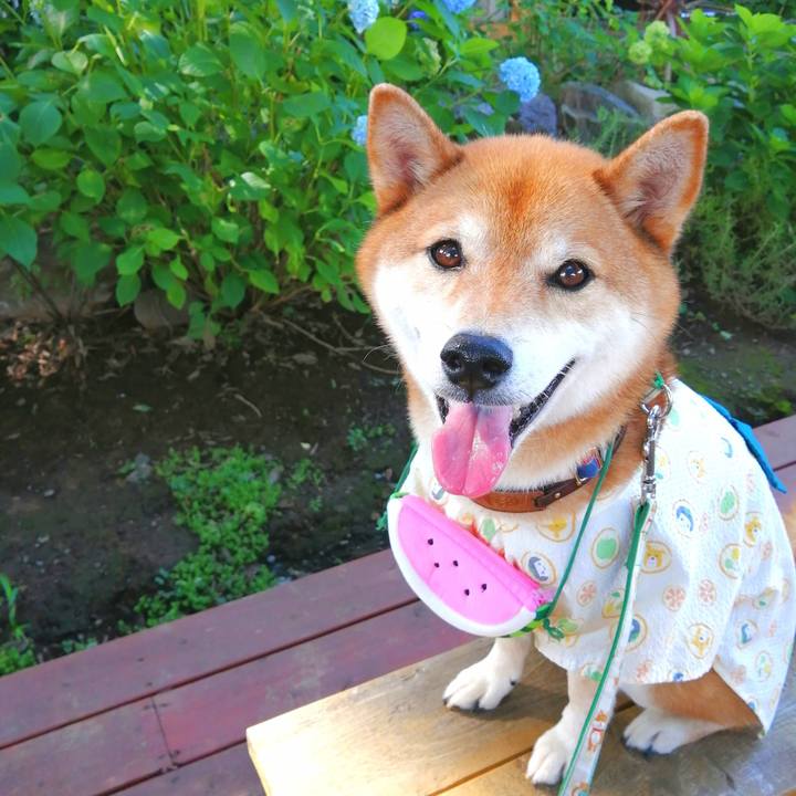 A0afcfd4 a5db 47d8 96a9 6a00846b1bd4 1658046476916