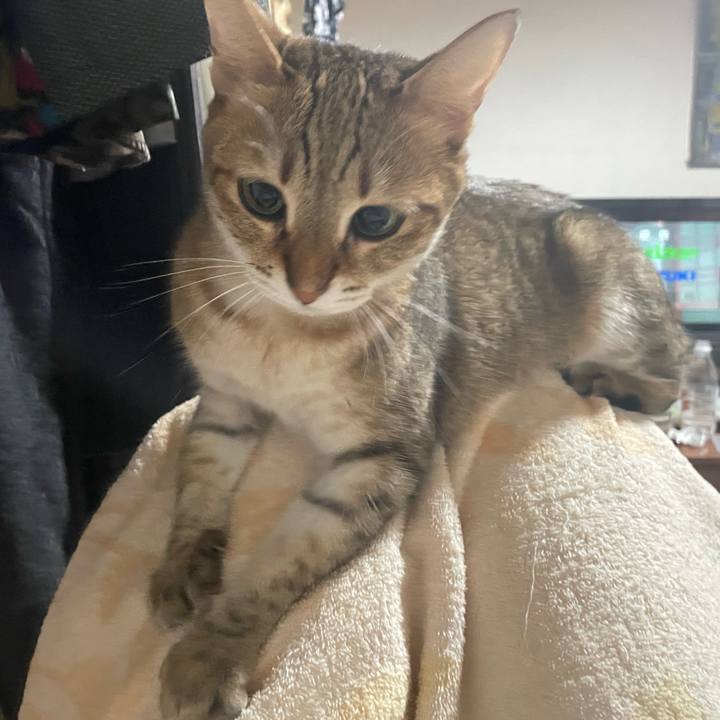 A0b01669 fb40 4c8a 8737 bd4084364926 1721518060334