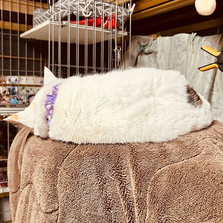 A0b04106 40e6 42eb a420 e7c7be647d75 1770460703218