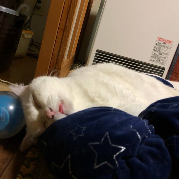 A0b06d35 adcb 409c 9e1b 59bedd948696 1577372590657