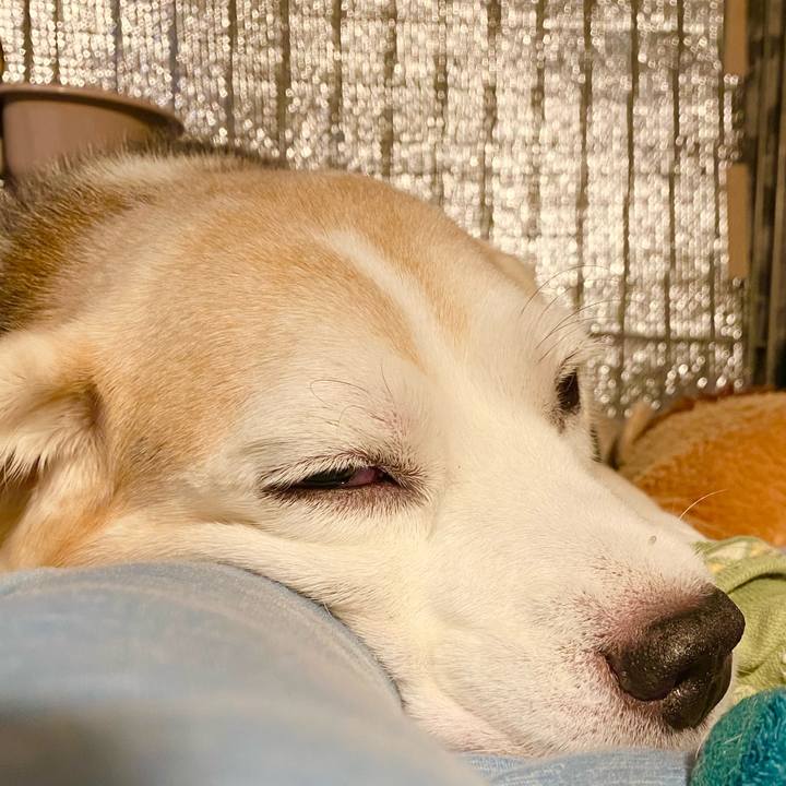 A0b0ccb4 0d51 4bed 9d3b 7c7317bc2ee0 1664165640030