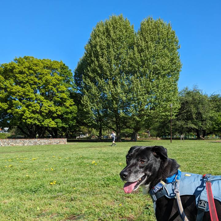 A0b0e550 49e9 45b9 b9f9 8f5d482caf32 1714004395600