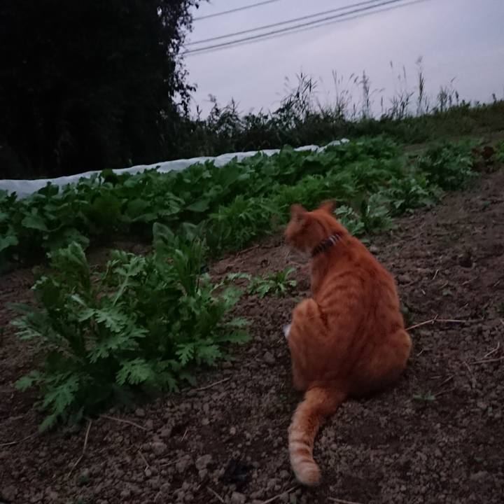 A0b0eaae 5426 4014 826d f56577af8c82 1570093367461