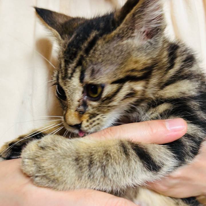 A0b0f62b b3a9 4946 a5d3 78891a07fe20 1725969985219