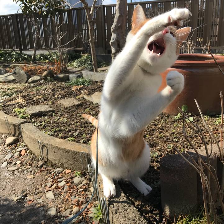 A0b0fb00 bb1c 4248 b7c0 b6c6f6c547f9 1518773345436