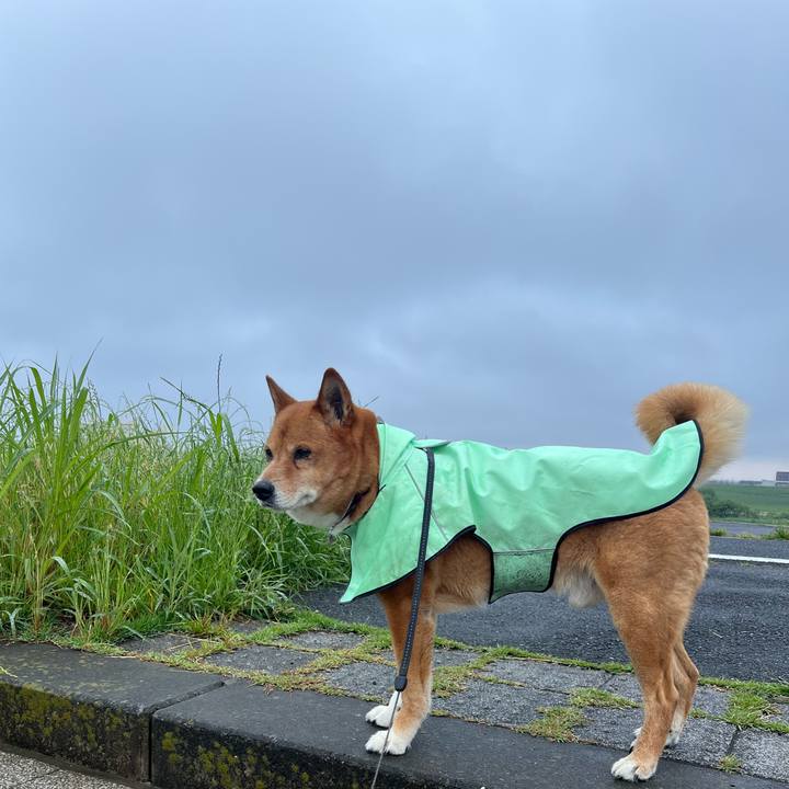 A0b16e51 361b 4306 95d6 3b7b3235805e 1748125820259