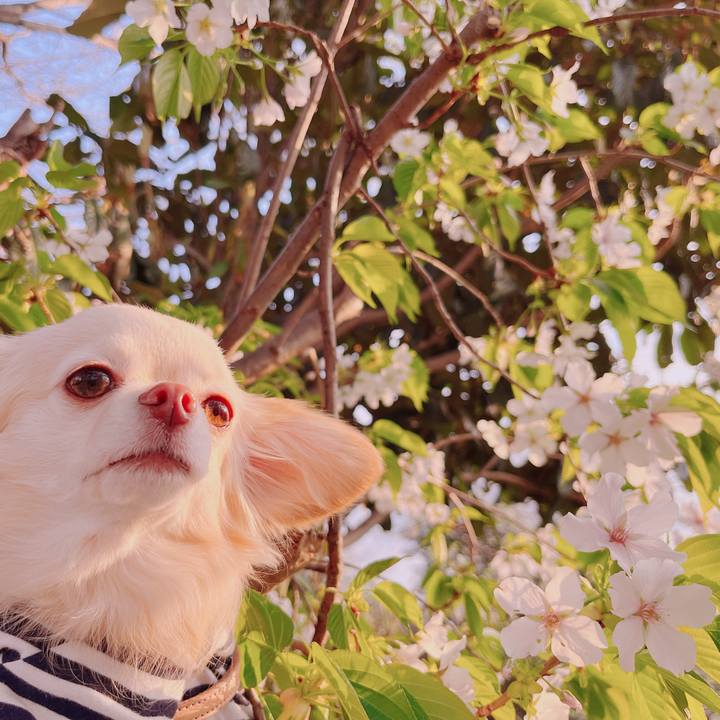 A0b18dbb 45e2 4f45 9af2 a7aab8db53ed 1680328036436