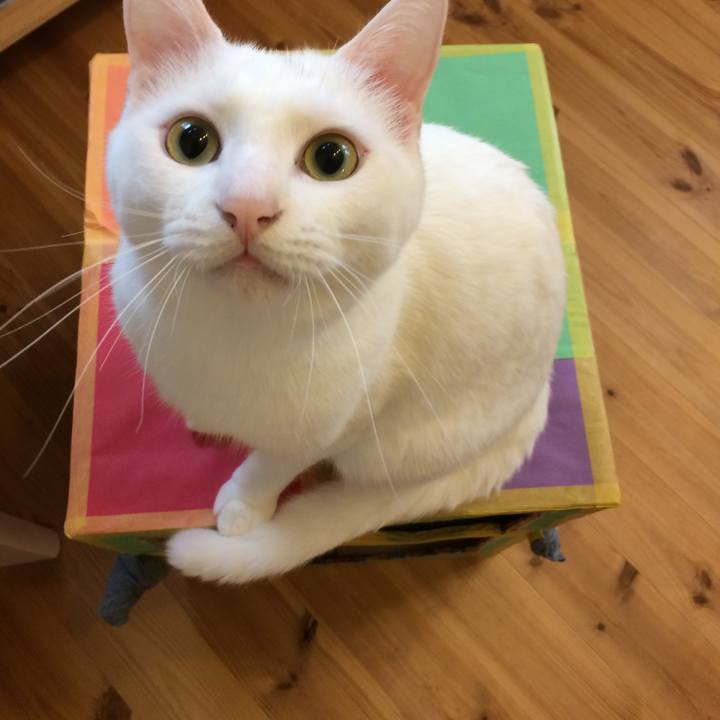 A0b19e6a 8cb4 4376 b07b 6e9a6c8f77b8 1508635192420