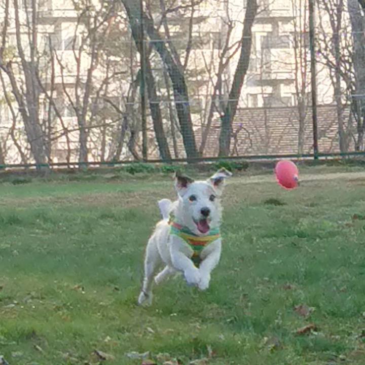 A0b1a3ba 522e 4cd6 b9e9 94fcaafd46b3 1524182220988