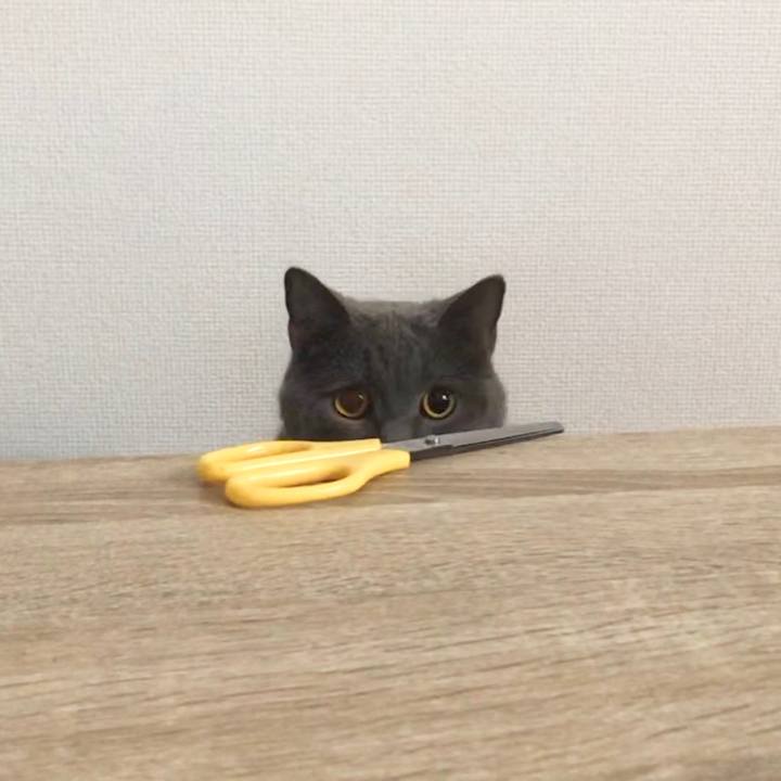 A0b1abd3 2782 4388 92e9 f1c134653aa7 1627874884013