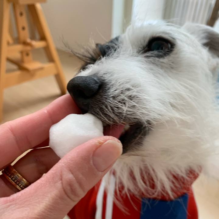 A0b1c043 4f80 4f21 97e2 2024195213a3 1641440067404